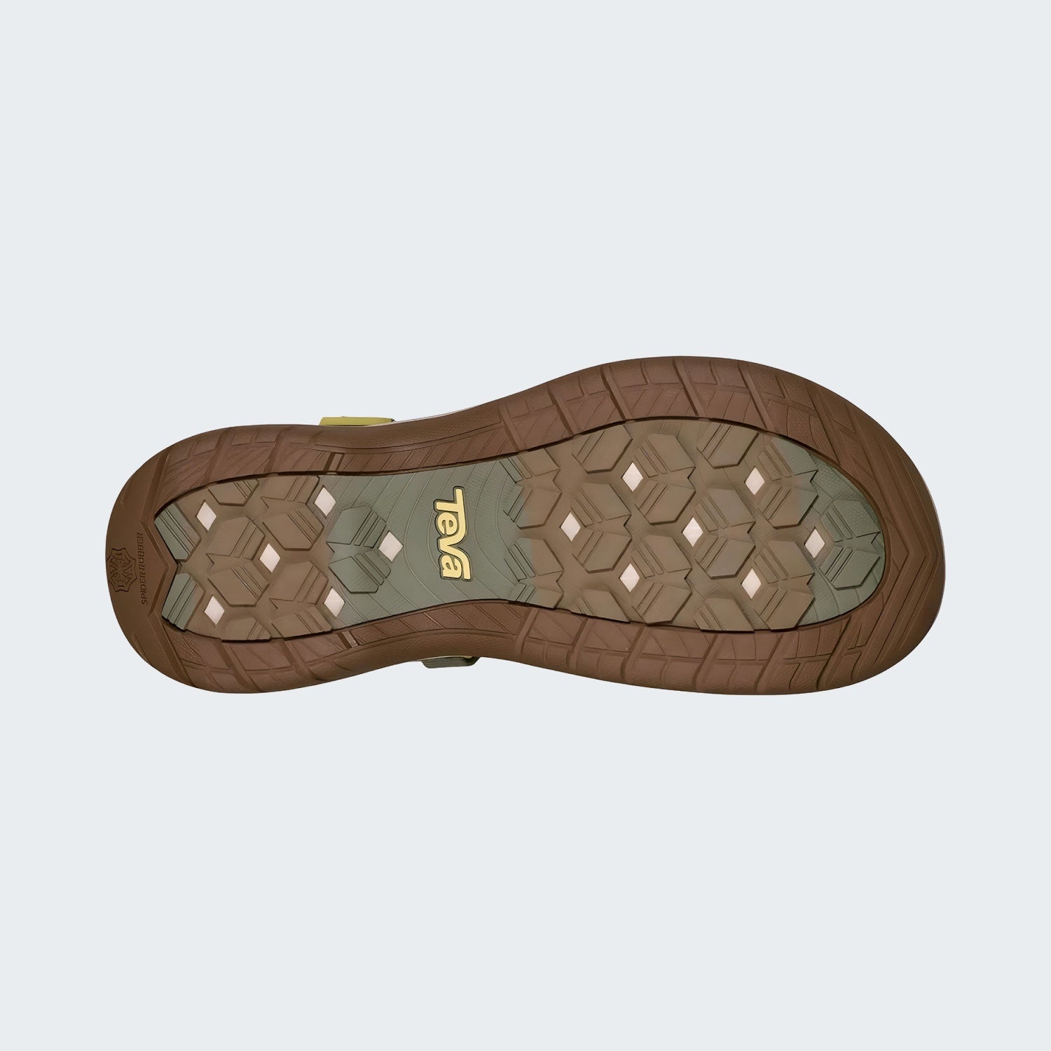 Seagrass Multi
