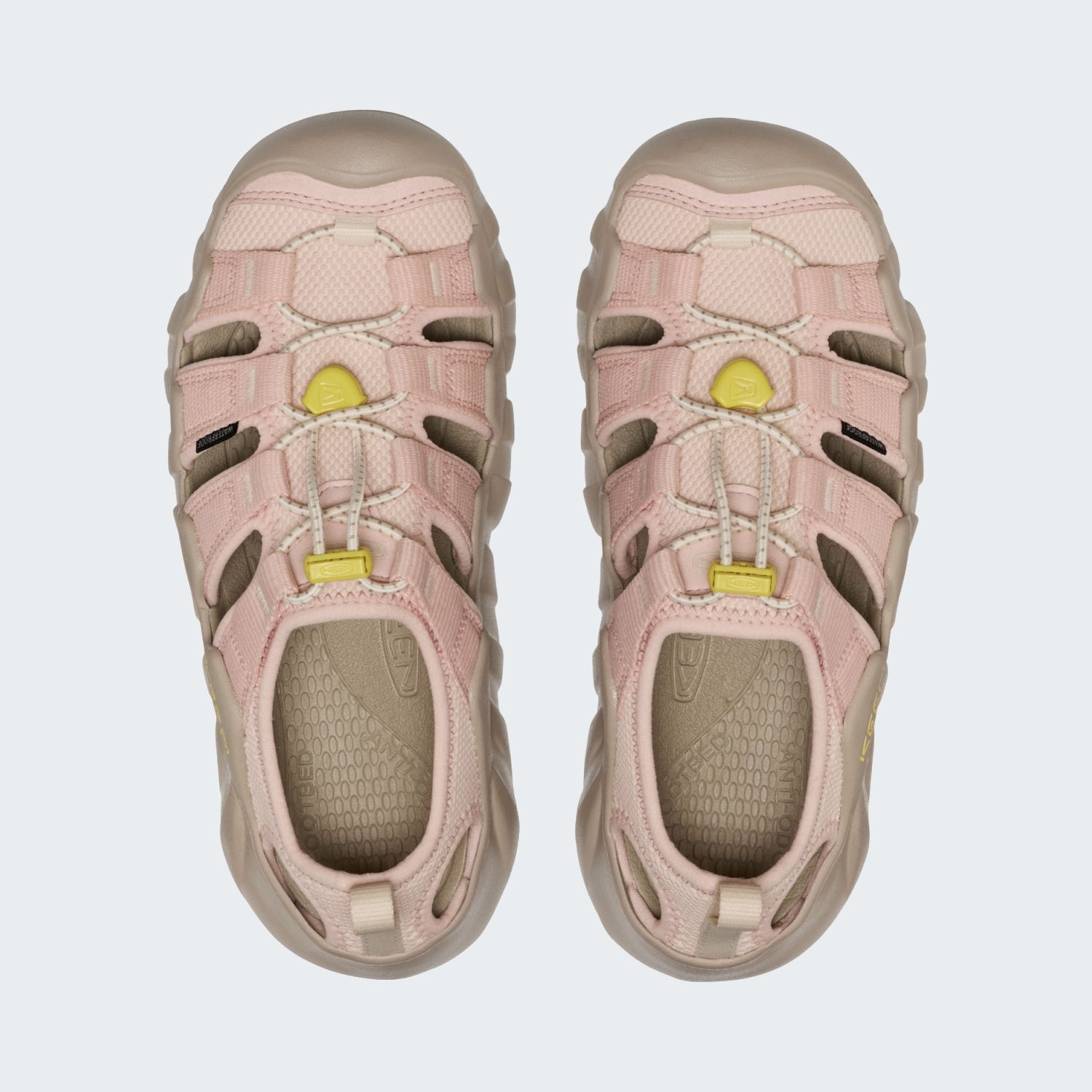 Cameo Rose/Birch