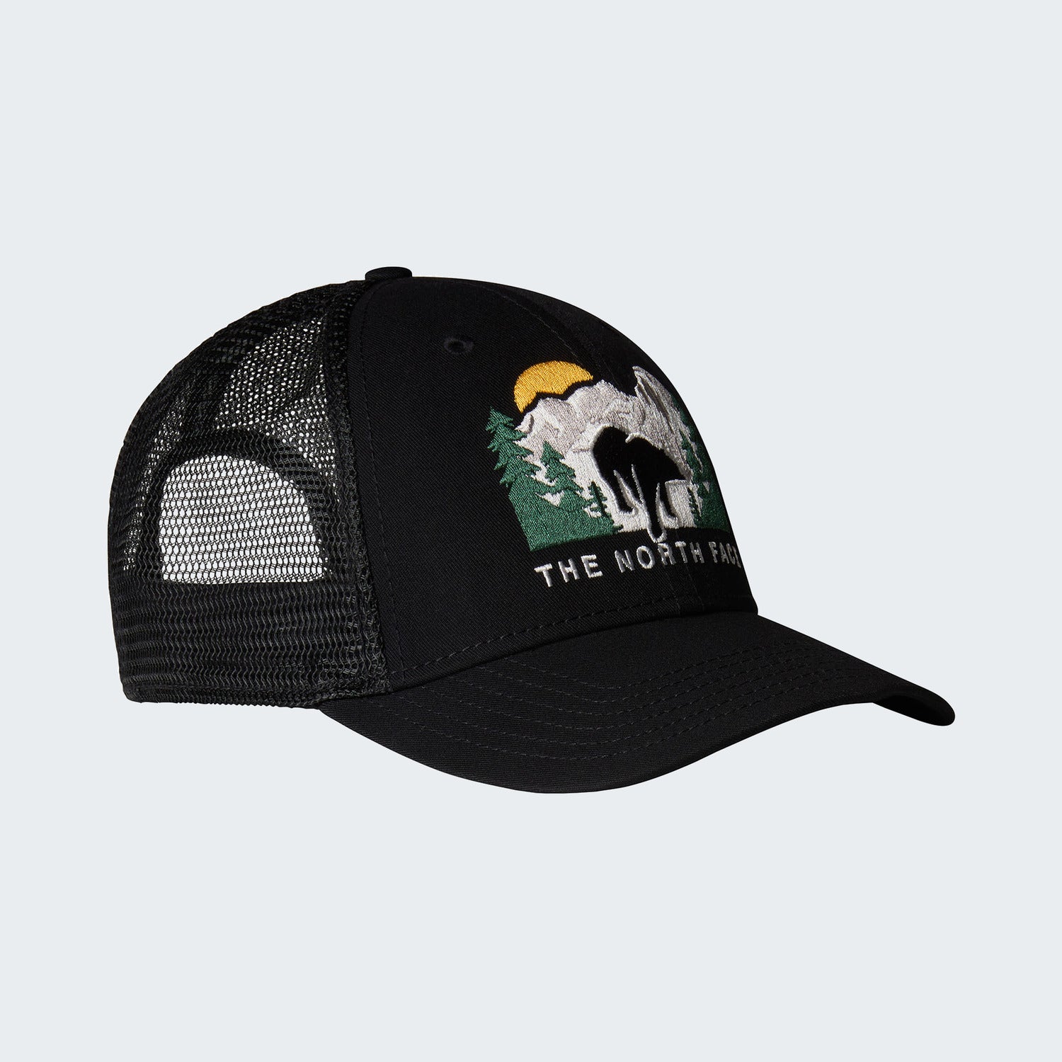 TNF Black/TNF Black/Bear Graphic