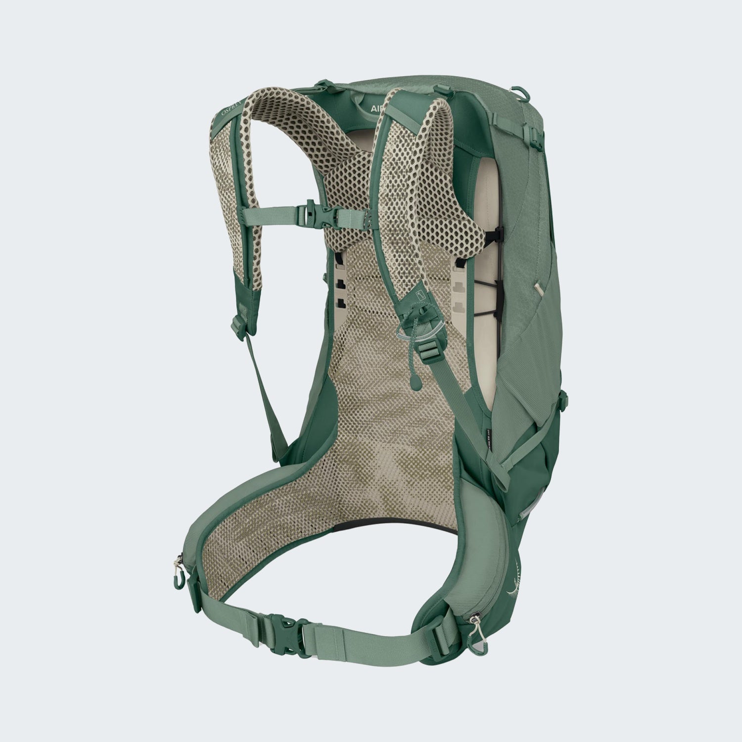 Pine Leaf Green