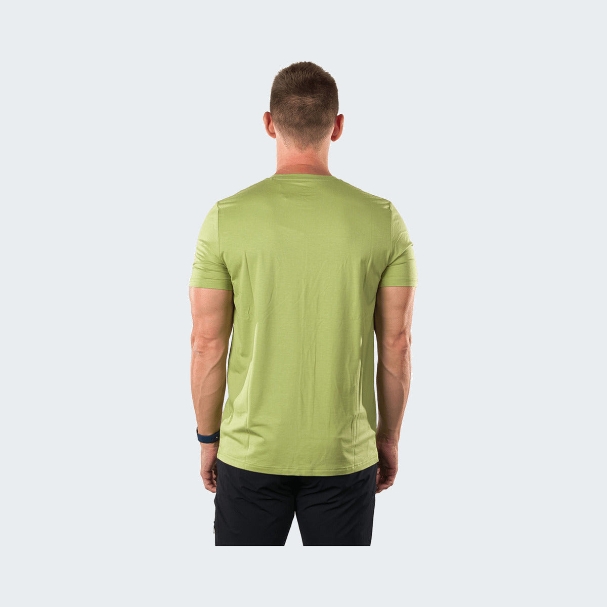 448 - Macaw Green
