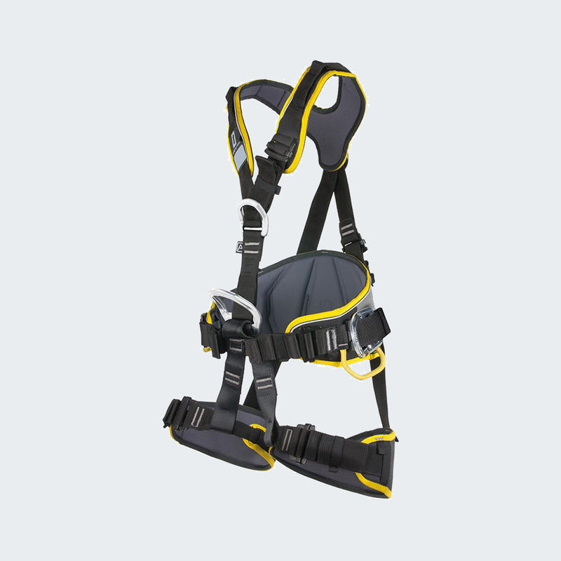 Black/Yellow