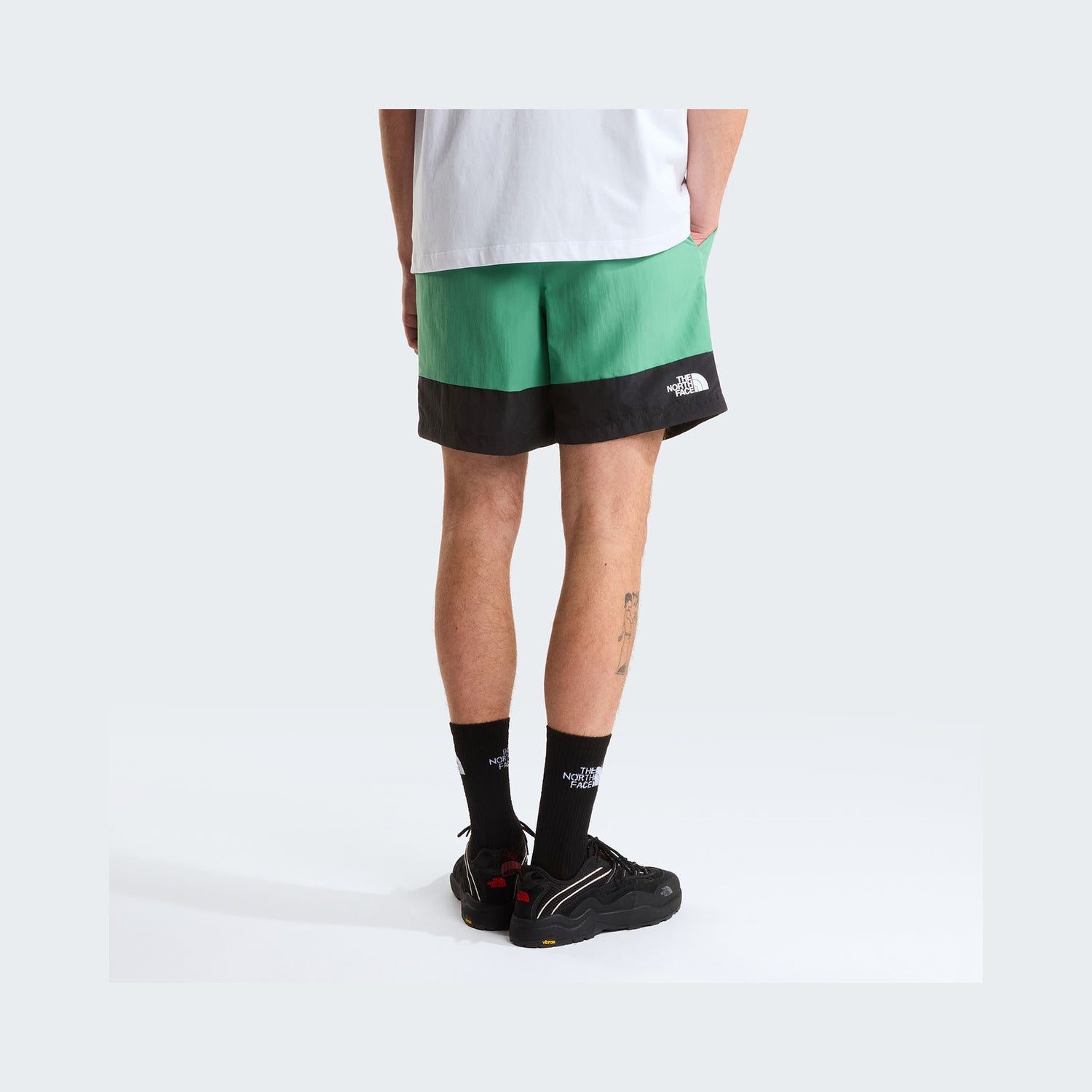 Dimmed Algae/TNF Black