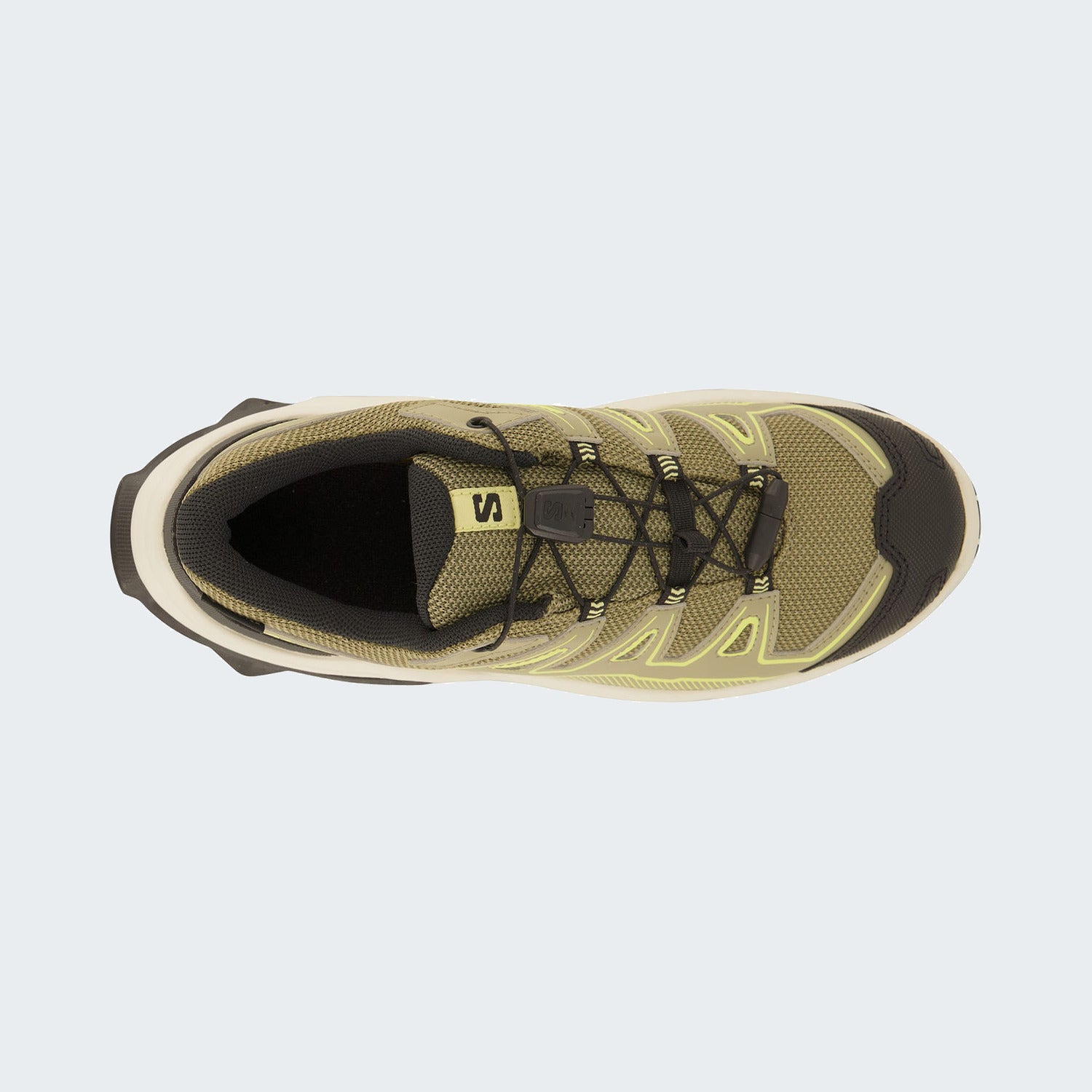 Olive Night/Endive/Black