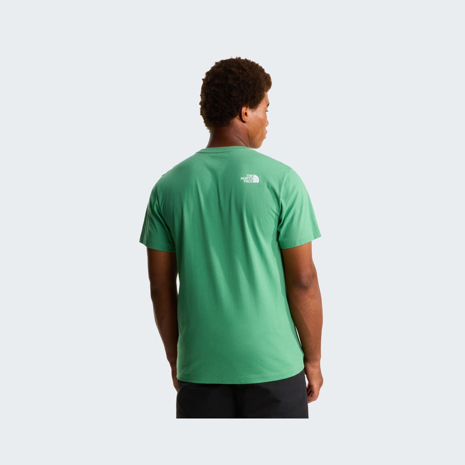 Dimmed Algae