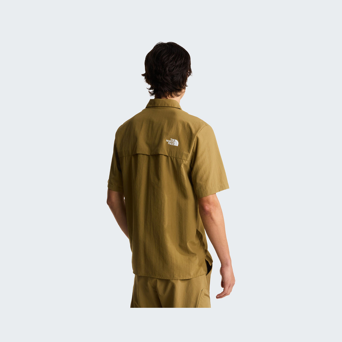 Cedar