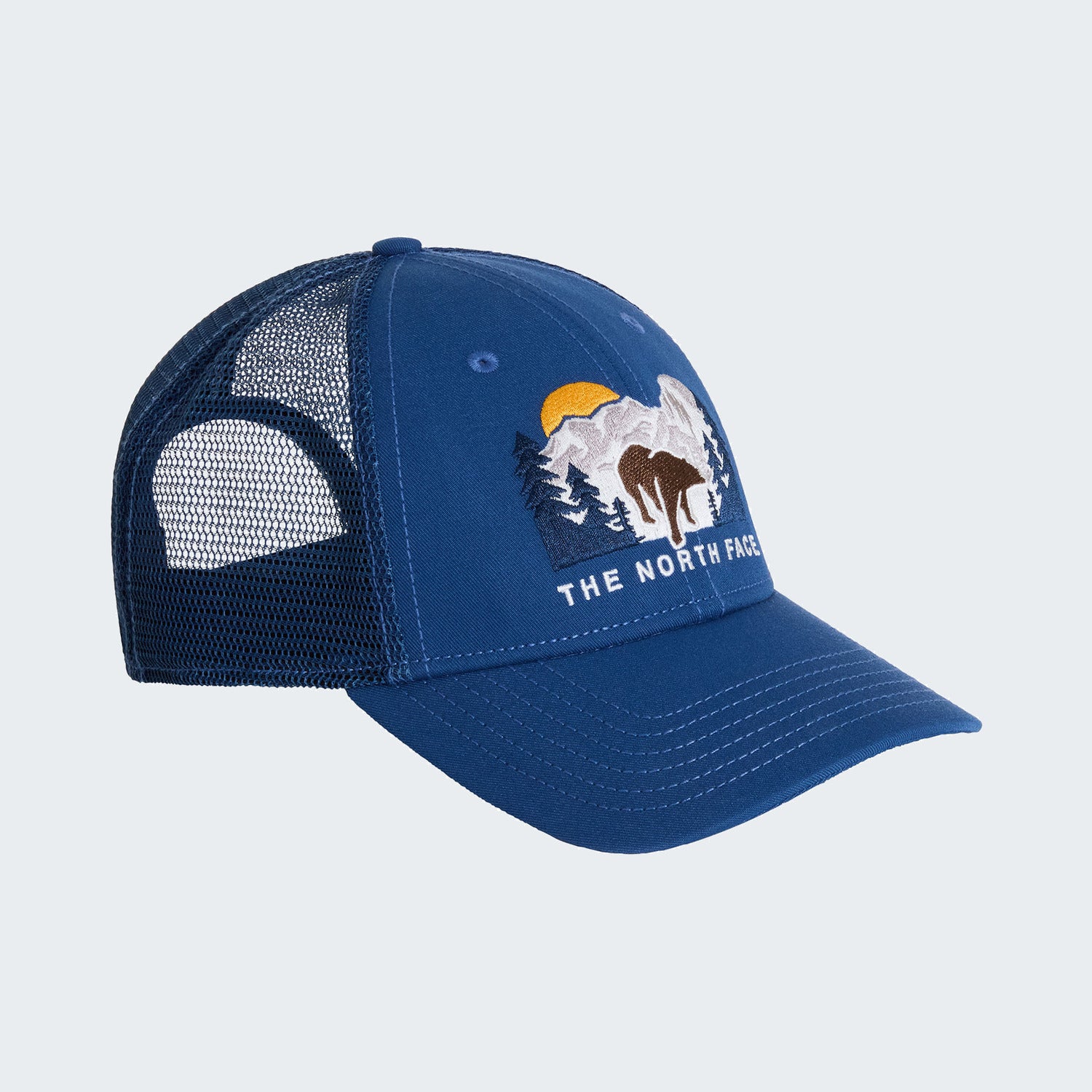 Shady Blue/Bear Graphic