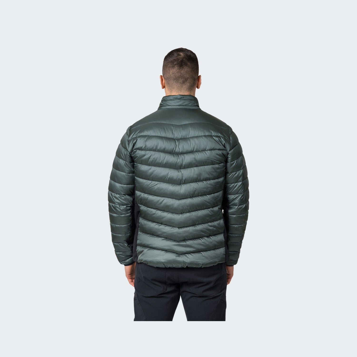Dark Forest/Anthracite