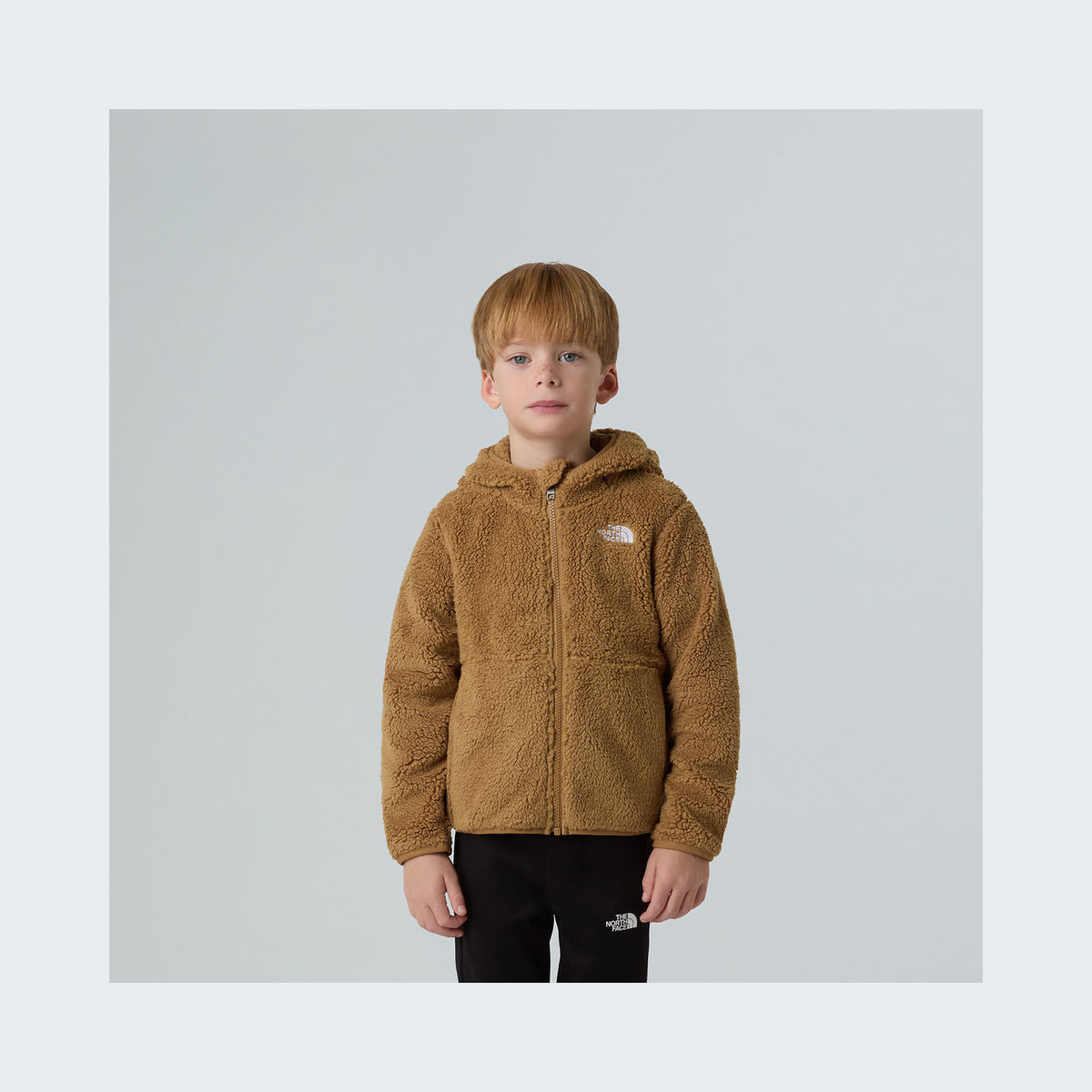 Teddy Brown