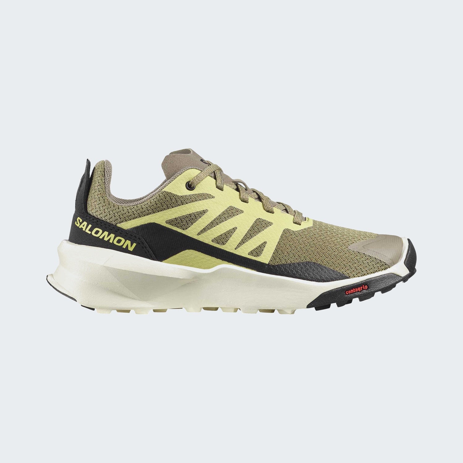 Aloe/Endive/Black