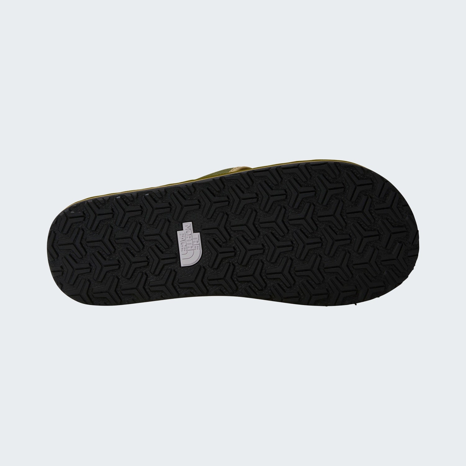 Forest Olive/Forest Olive