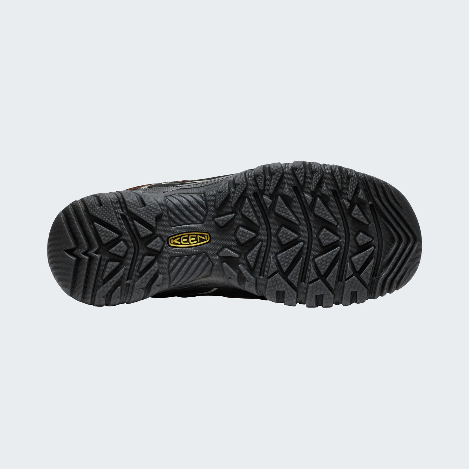 Bison/Black