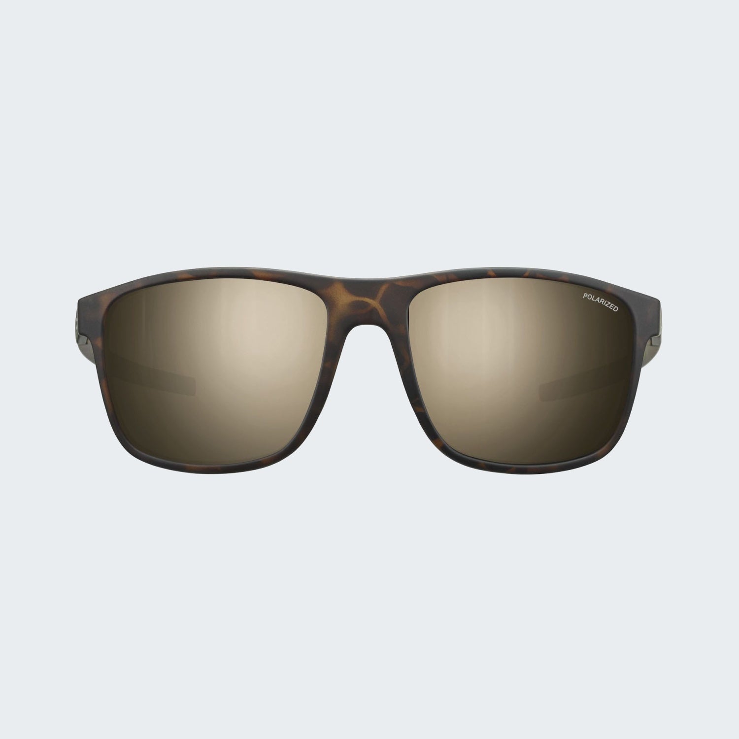 Tortoise Brown