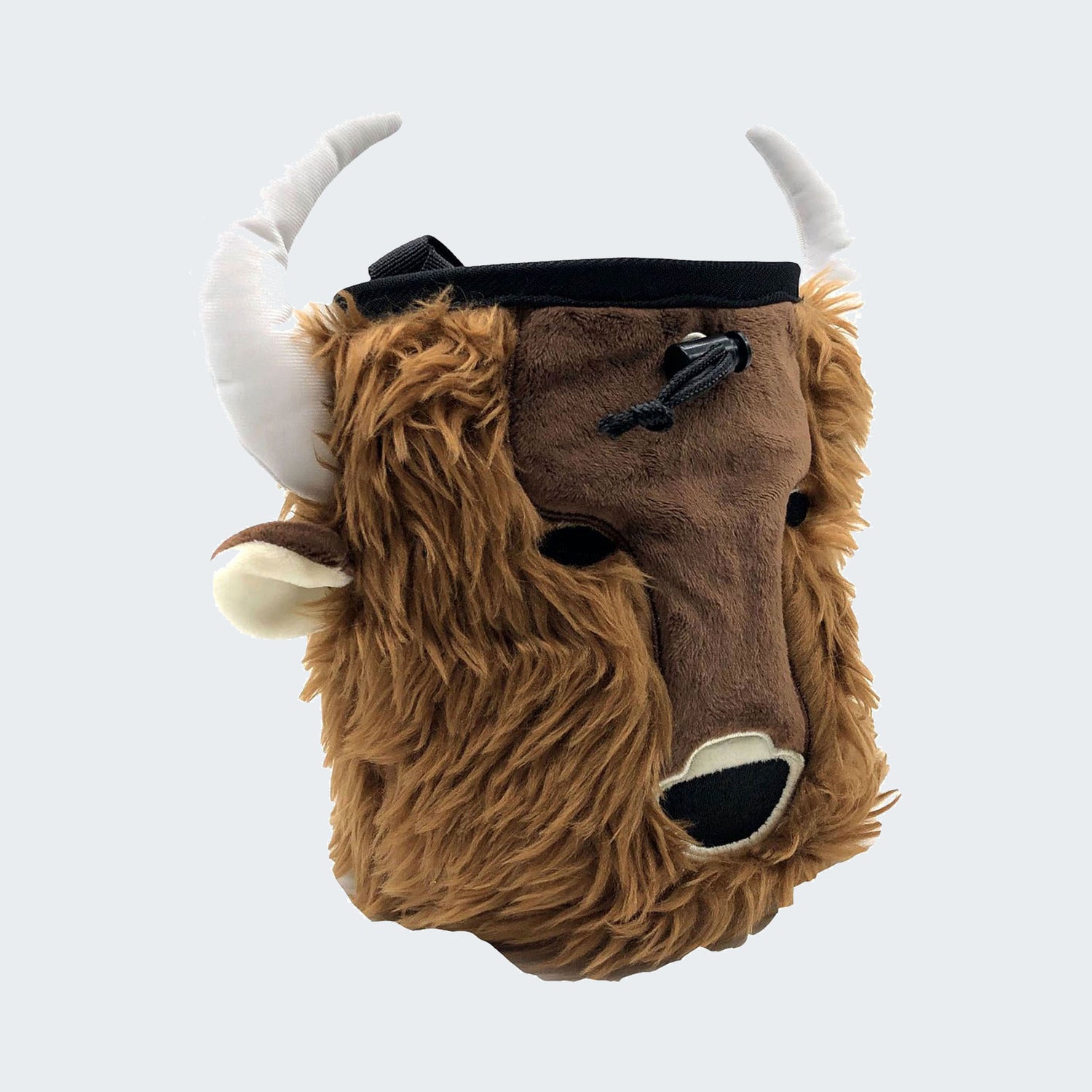 Bison