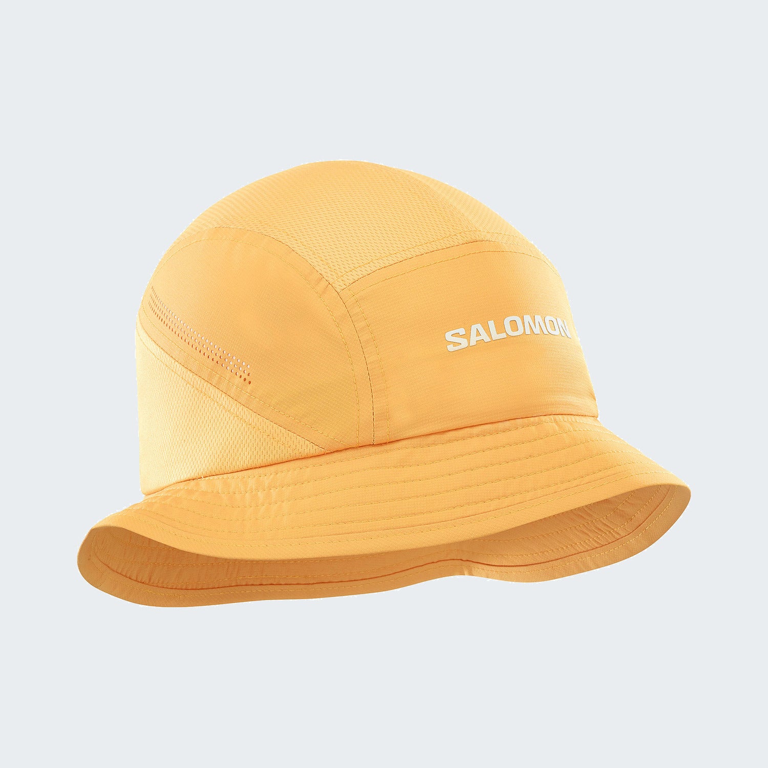 Warm Apricot