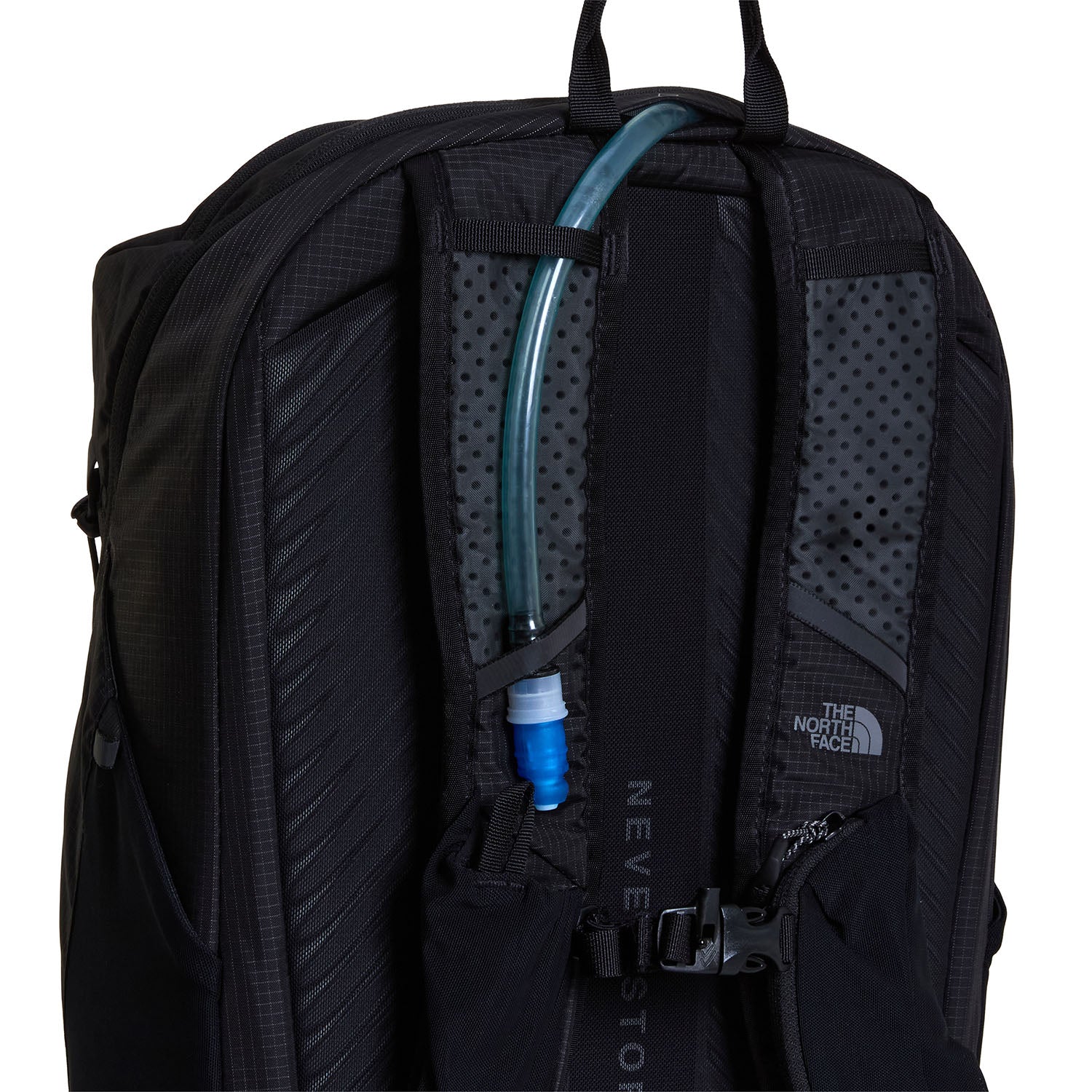 Tnf Black