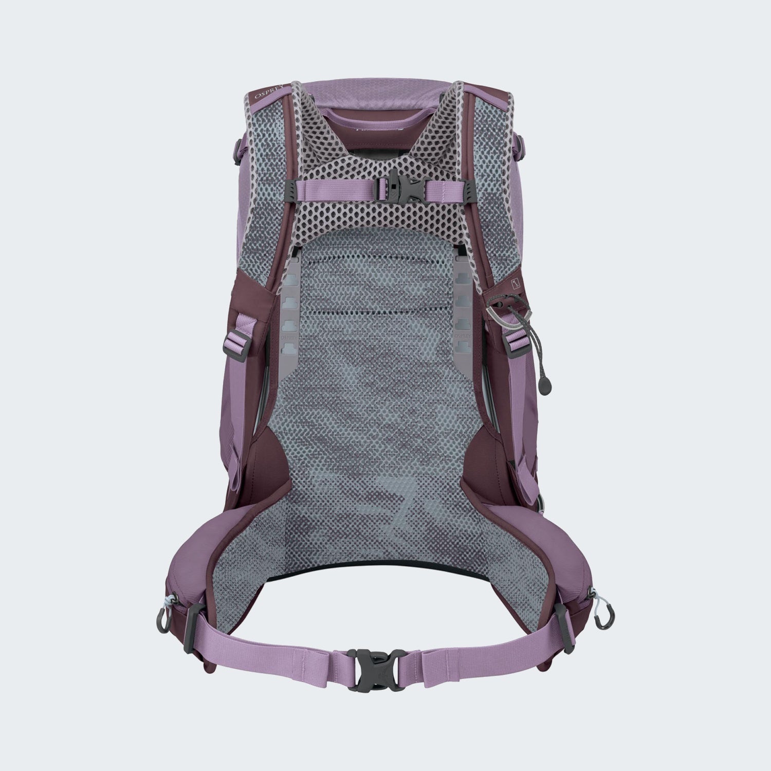 Purple Dusk