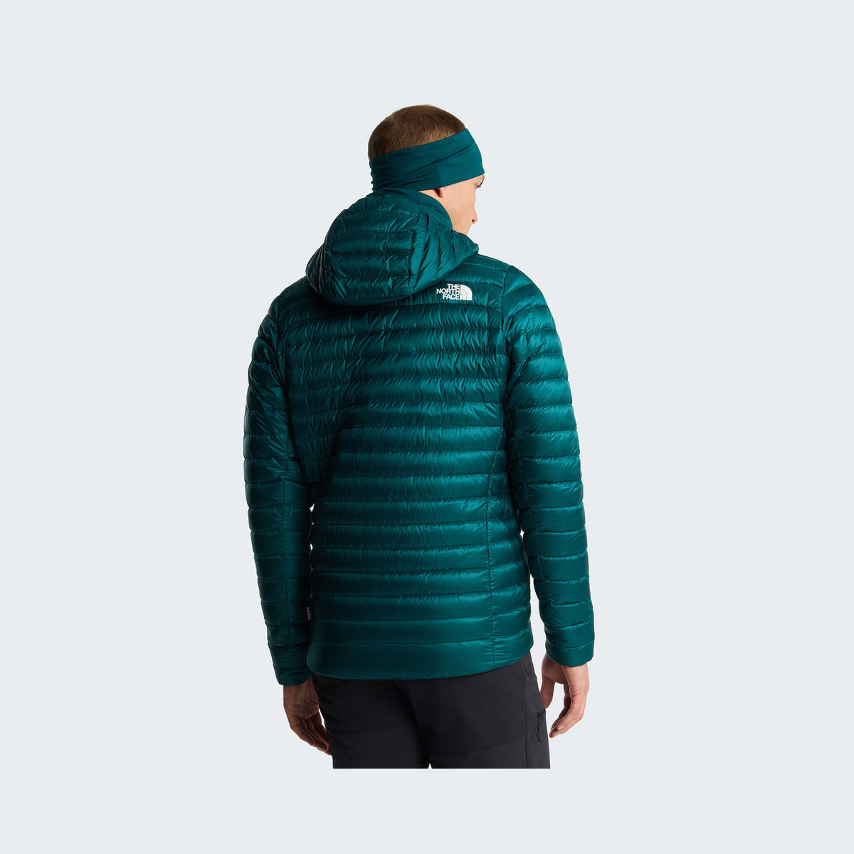 Pacific Teal/Restorative Teal
