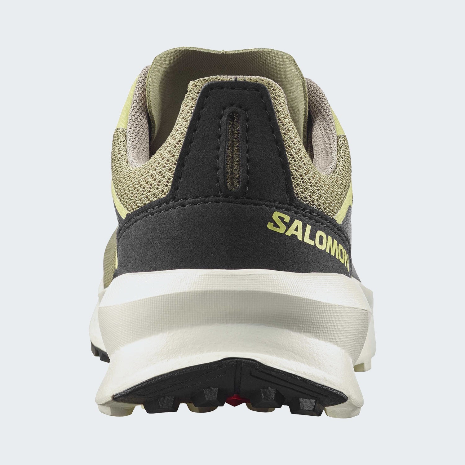 Aloe/Endive/Black