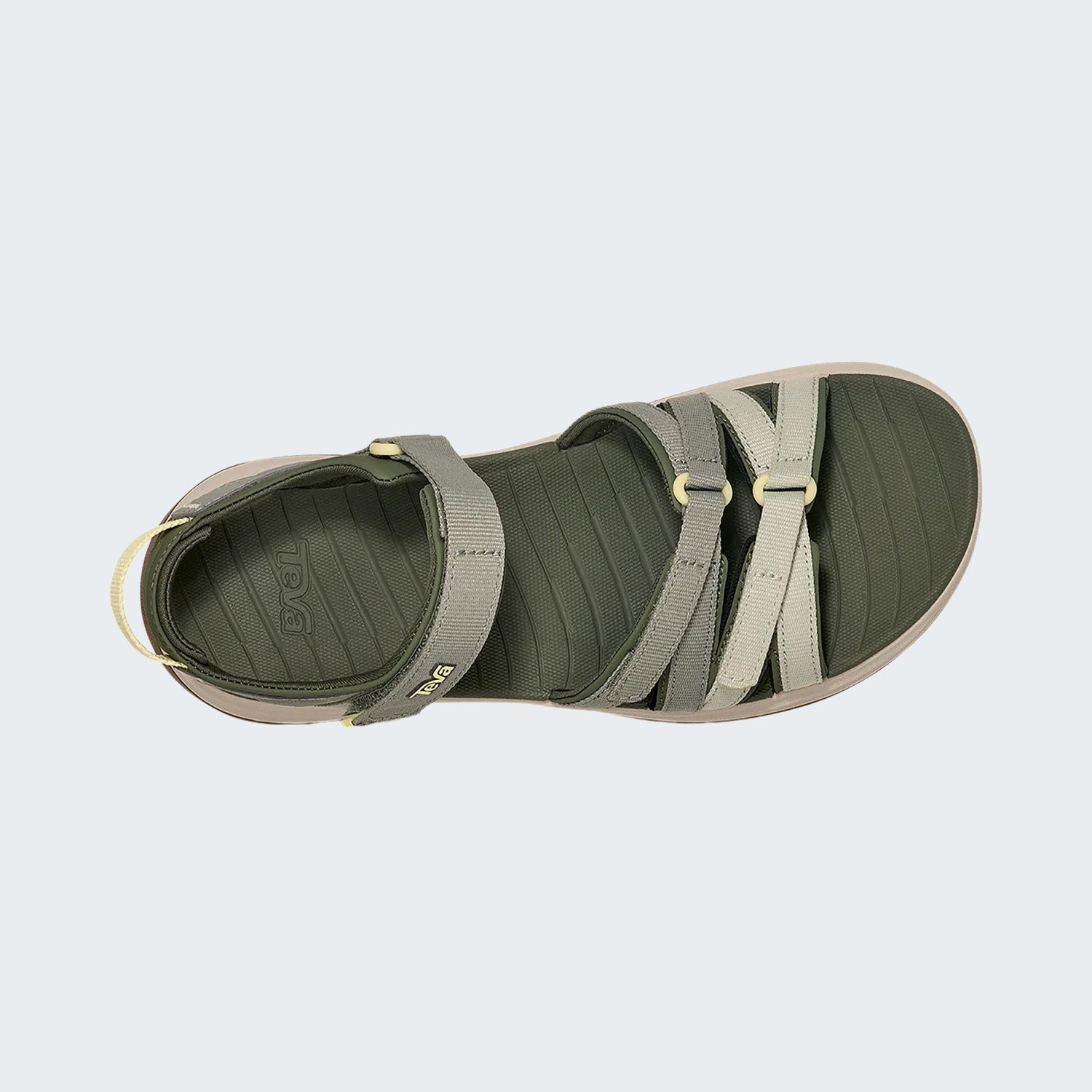 Seagrass Multi